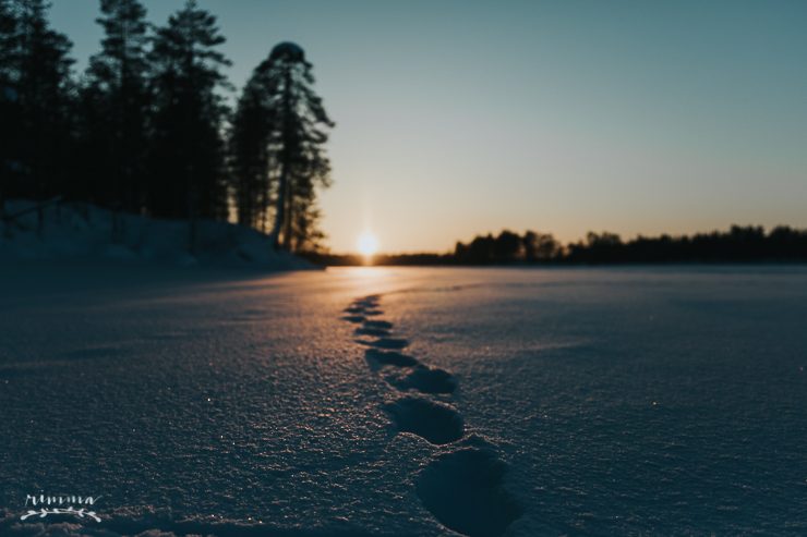 fall_into_finland_hossan_lumo-1-9418635